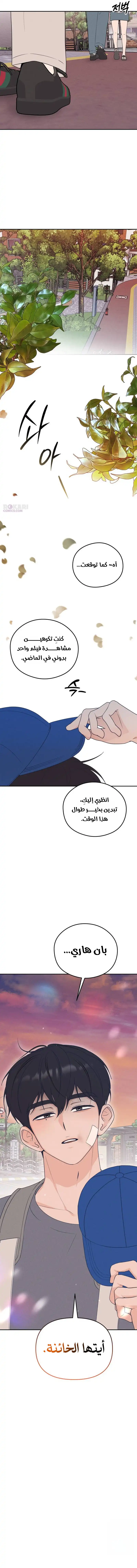 الصفحة 14