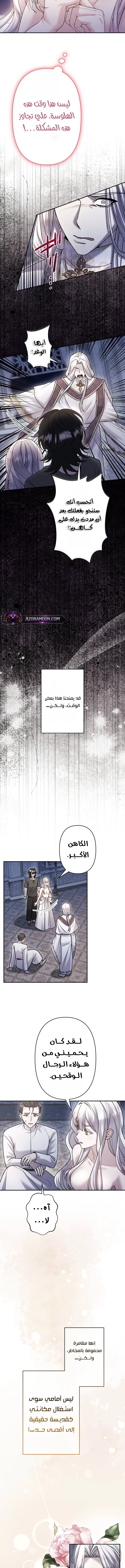 الصفحة 15