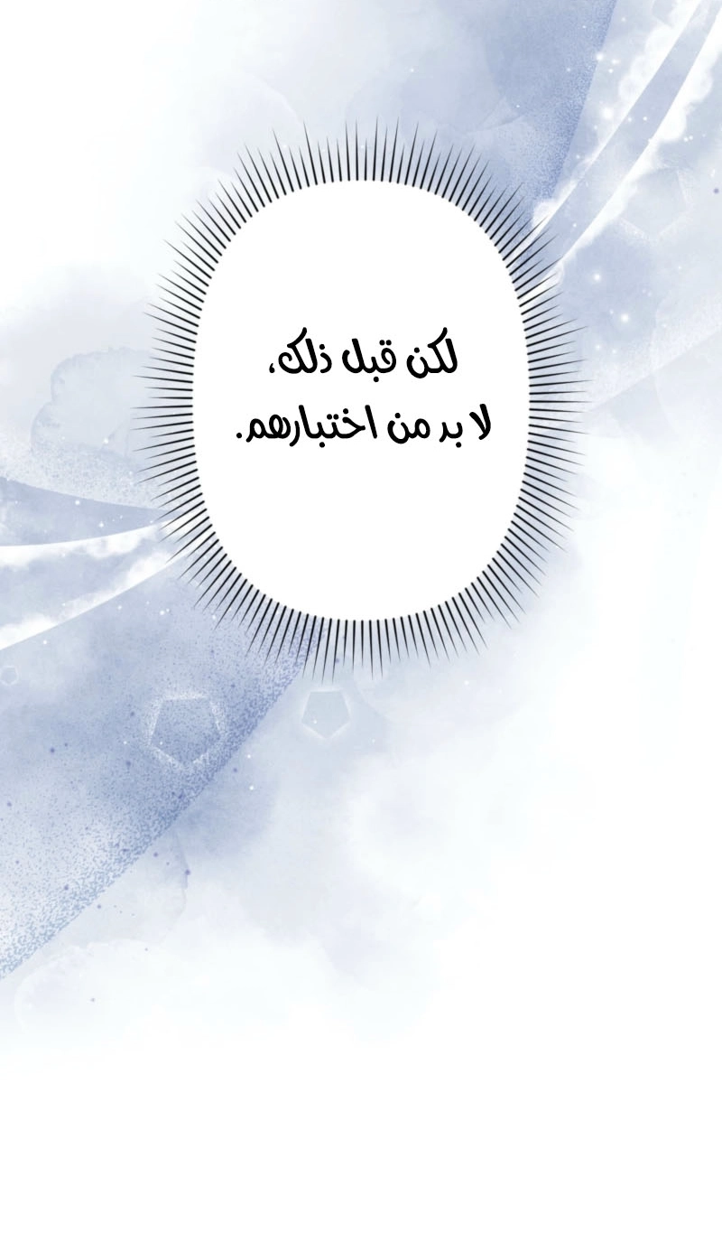 الصفحة 27
