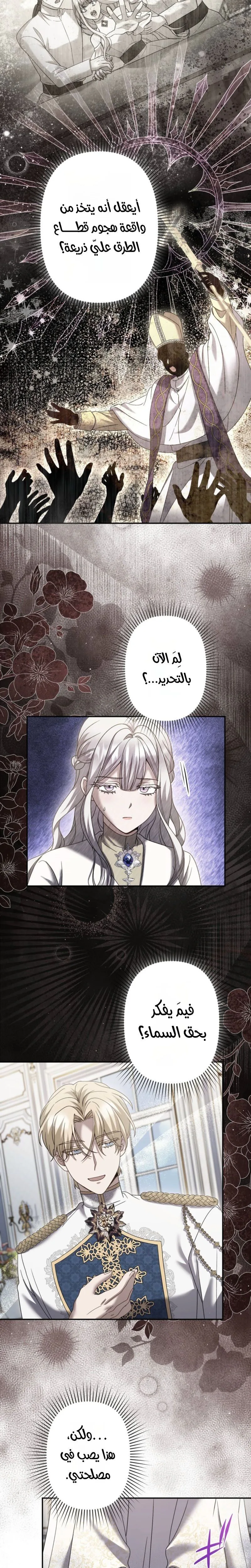 الصفحة 11