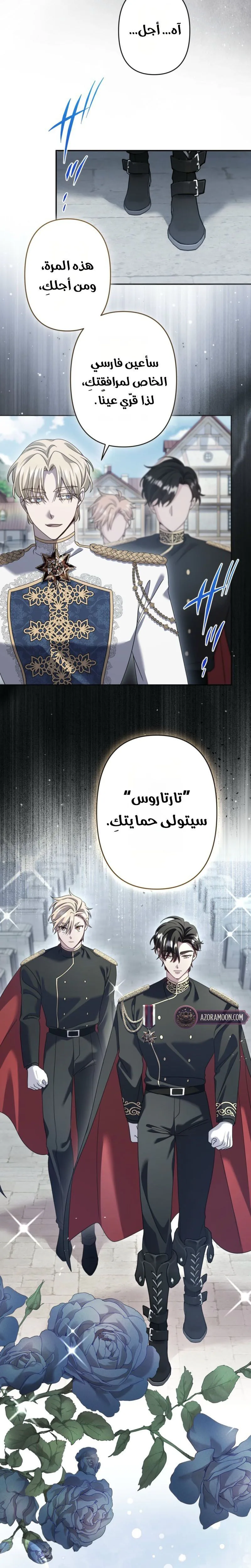 الصفحة 20