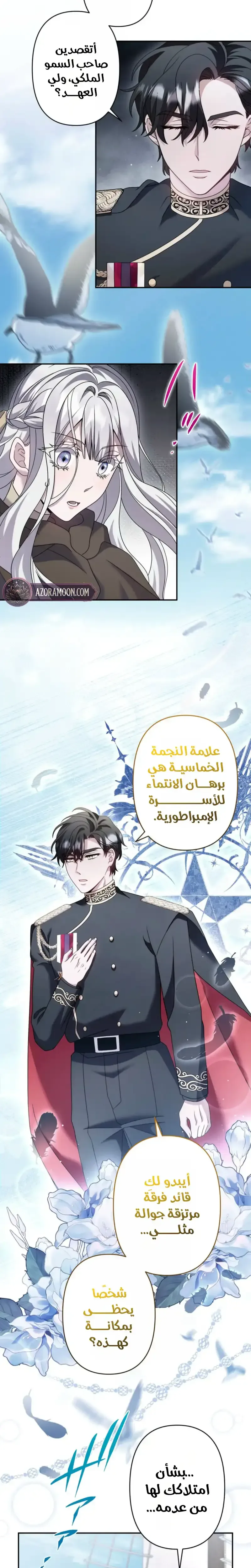 الصفحة 13