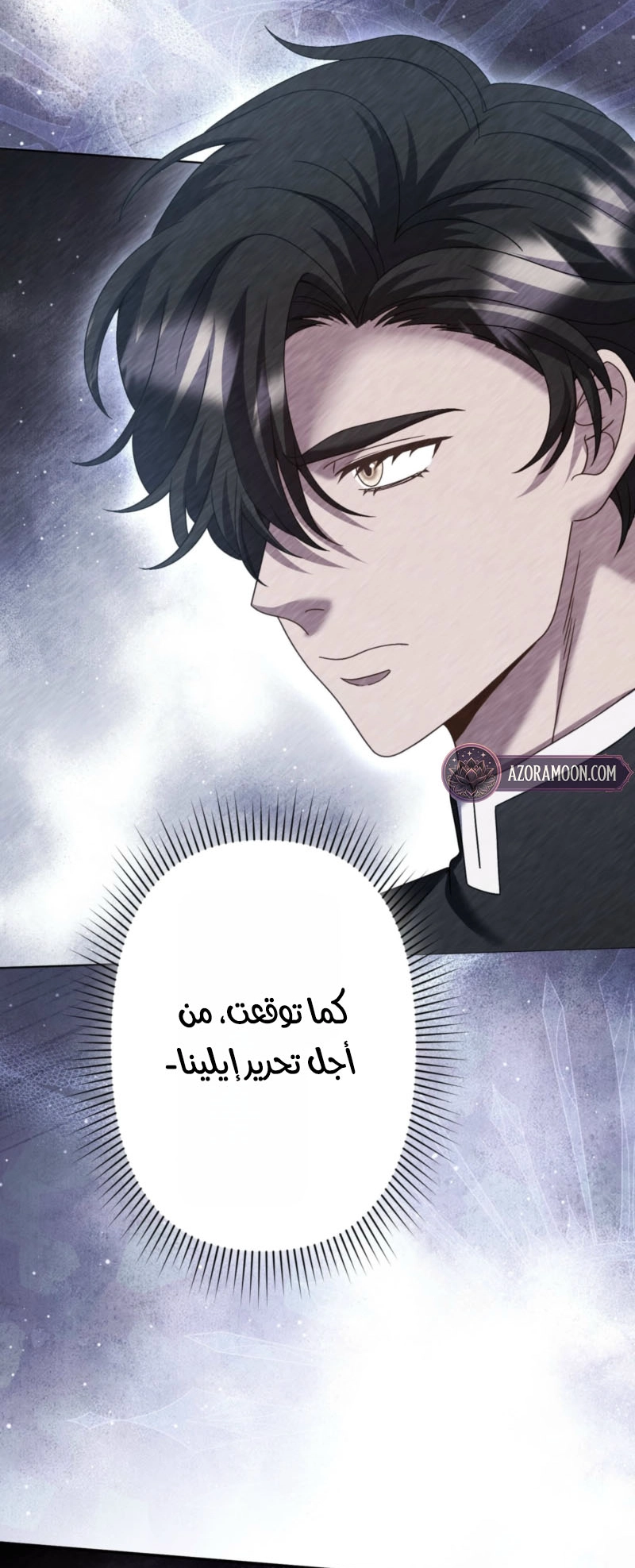 الصفحة 37