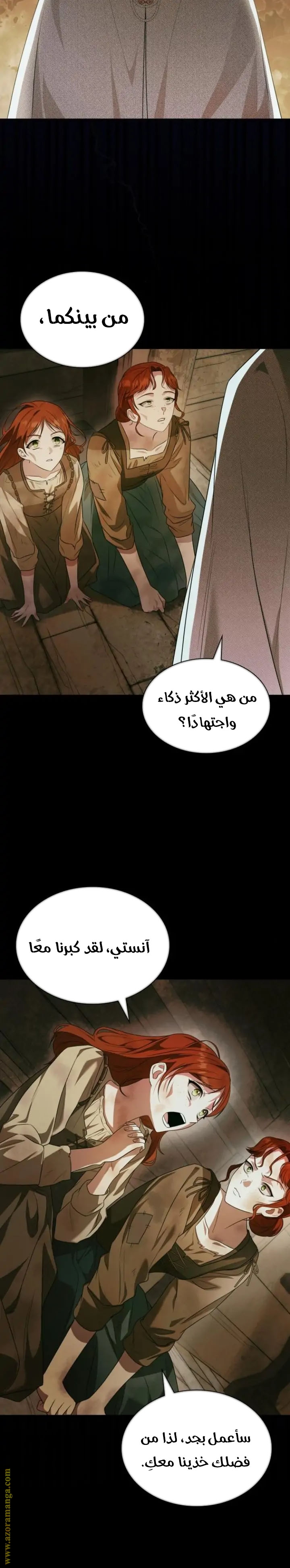 الصفحة 17