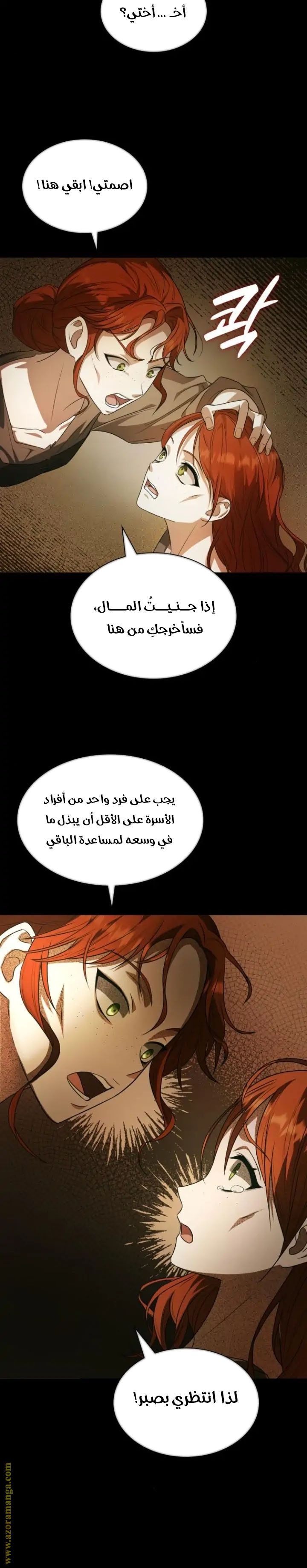 الصفحة 21