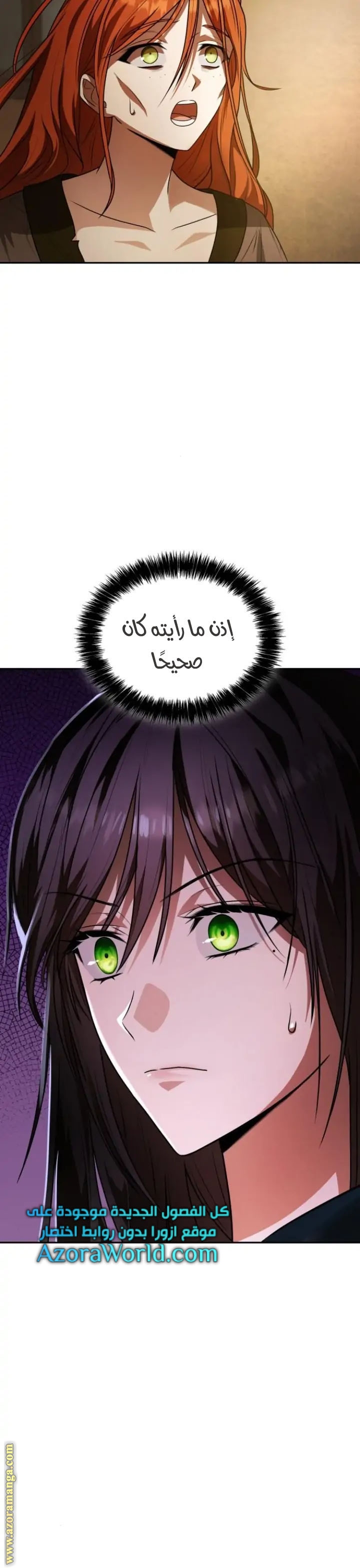 الصفحة 29