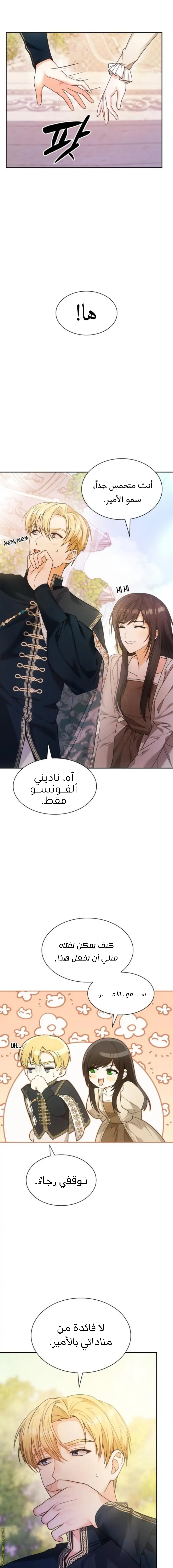 الصفحة 13