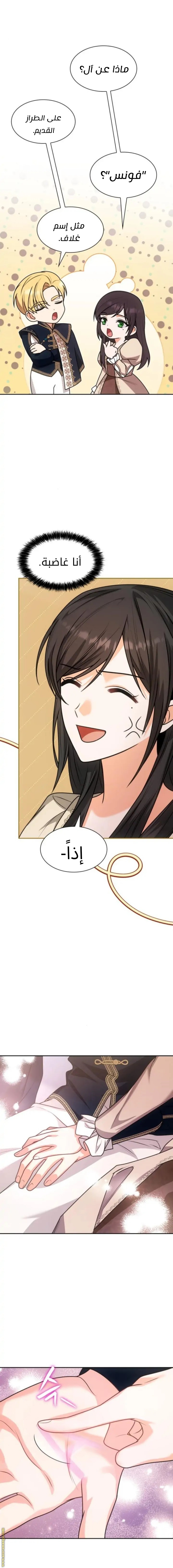 الصفحة 17