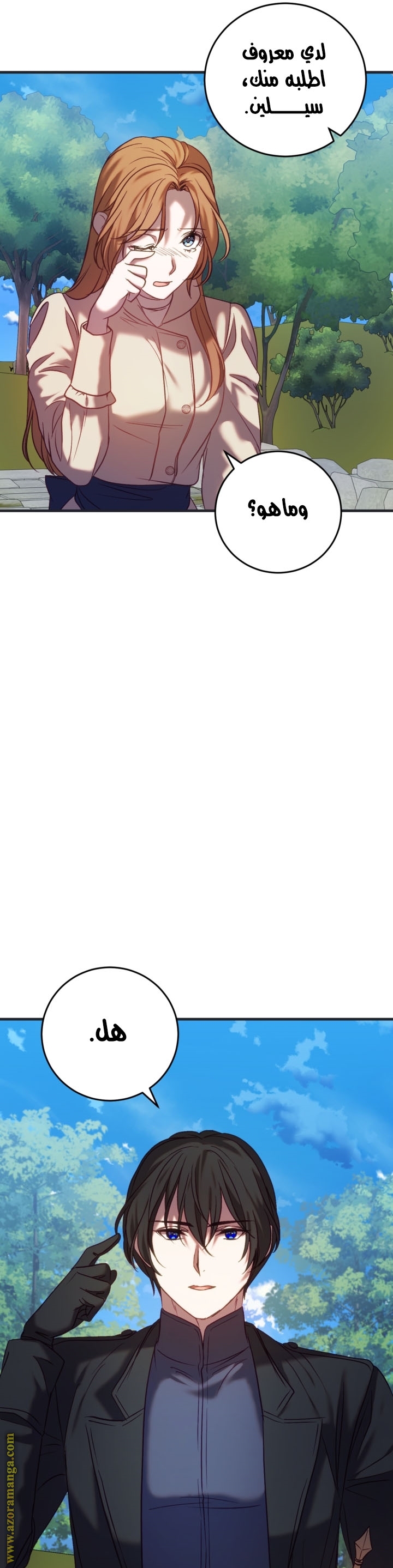 الصفحة 21