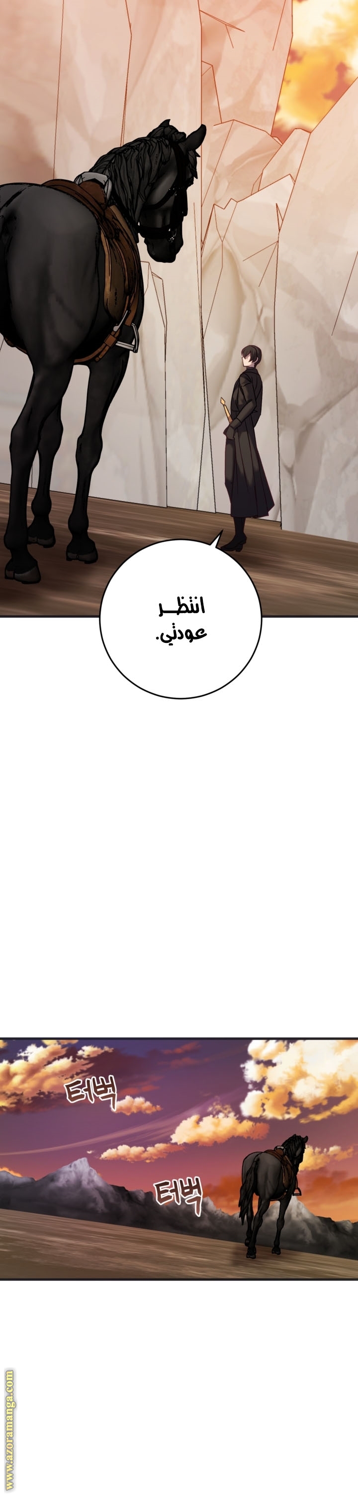 الصفحة 29