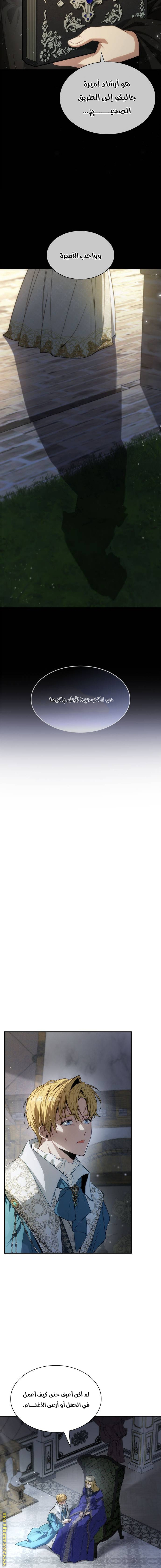 الصفحة 8