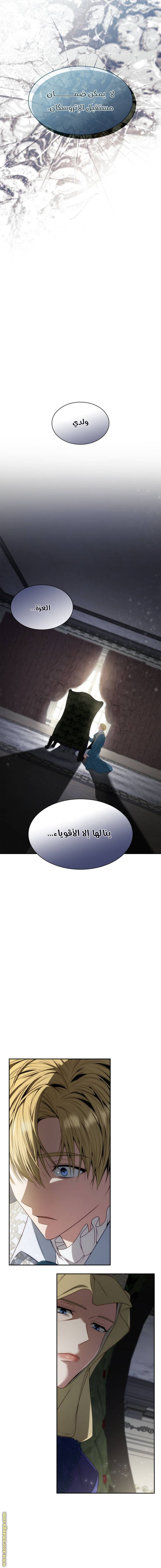 الصفحة 15