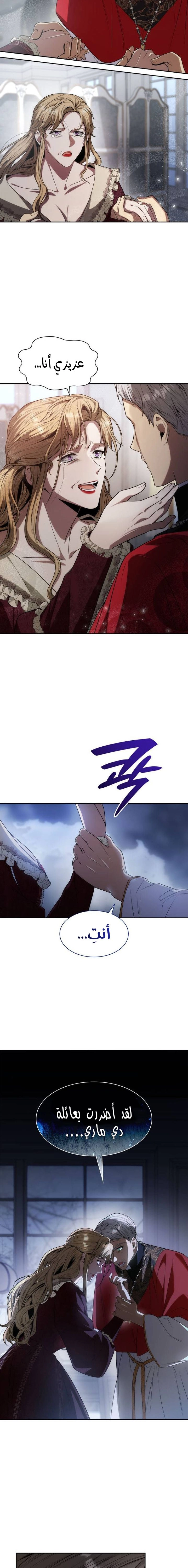 الصفحة 17