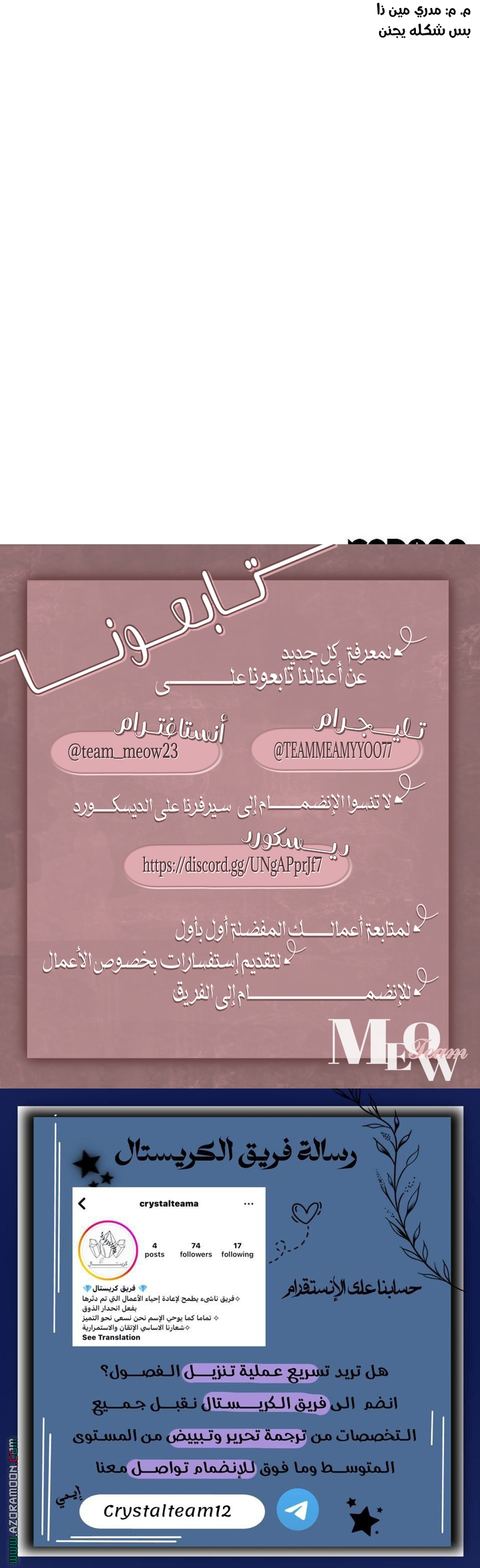 الصفحة 17