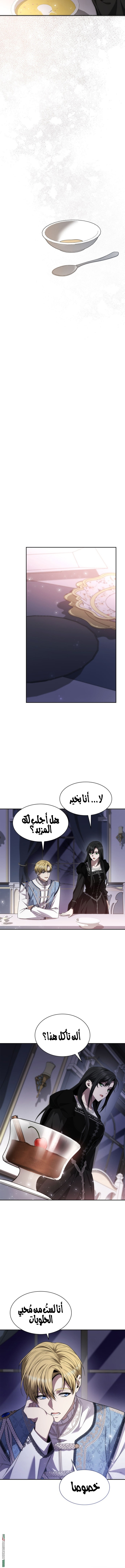 الصفحة 17