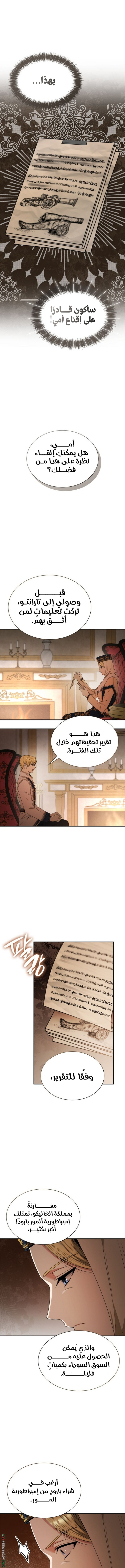 الصفحة 14