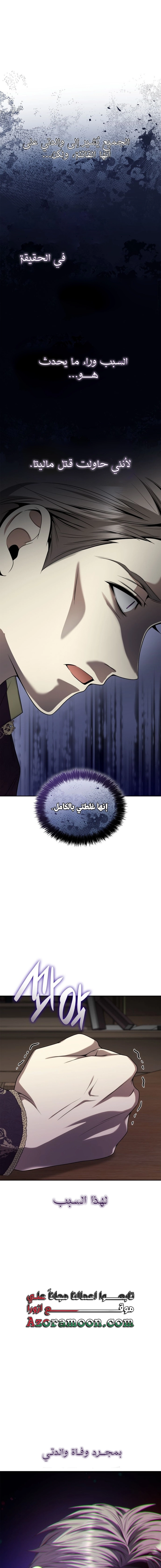 الصفحة 17