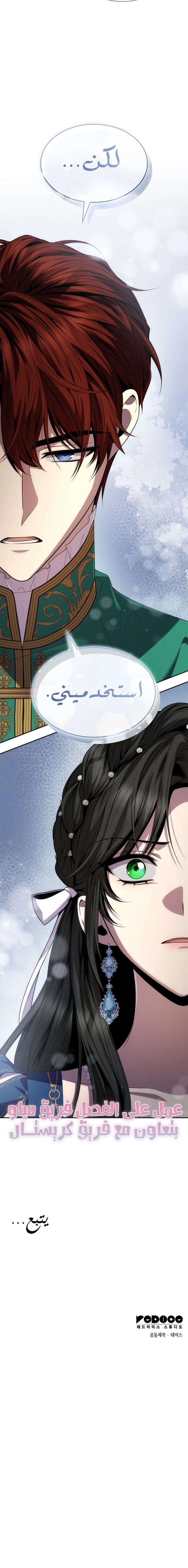 الصفحة 25