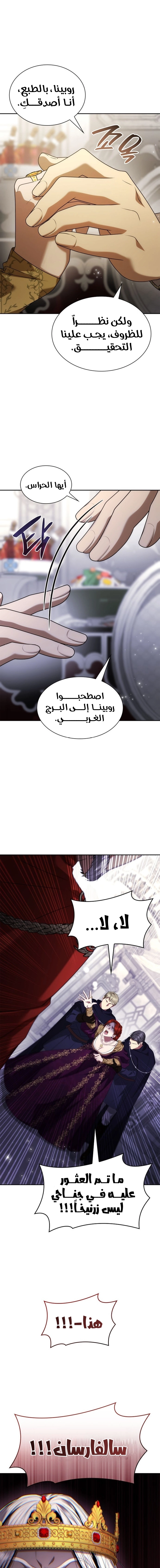 الصفحة 17