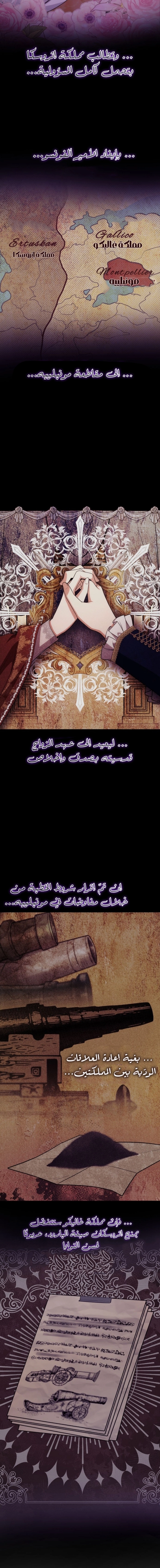 الصفحة 19