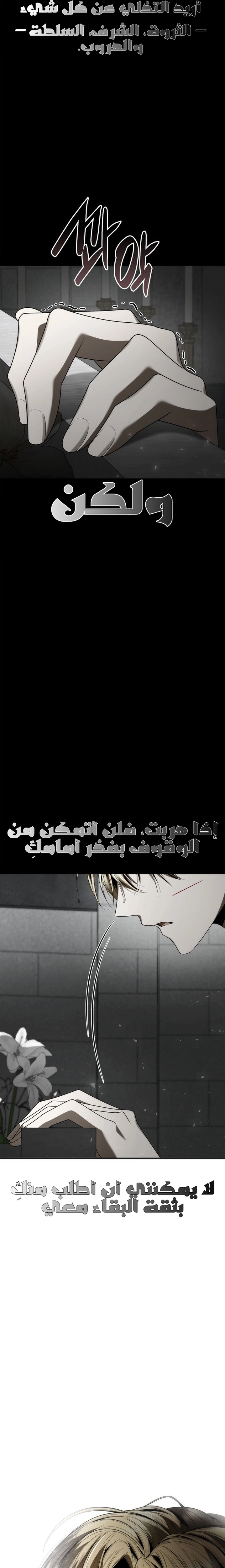 الصفحة 25
