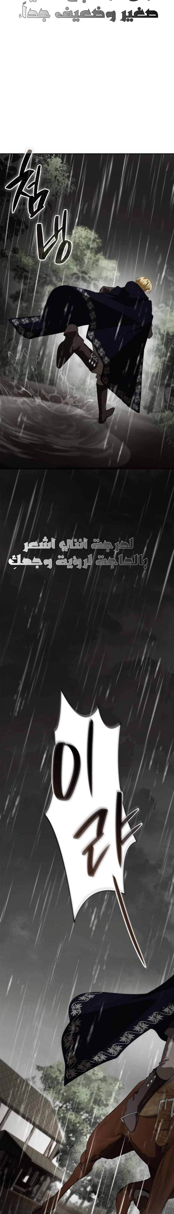 الصفحة 27