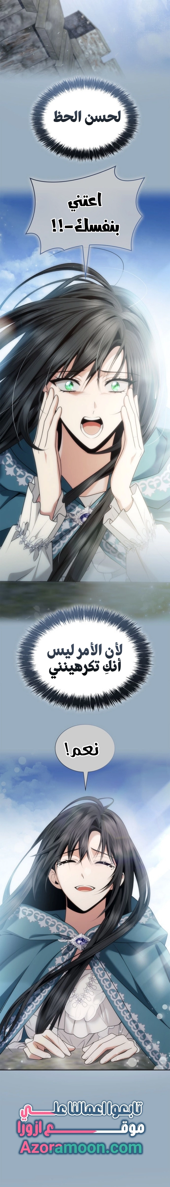 الصفحة 27
