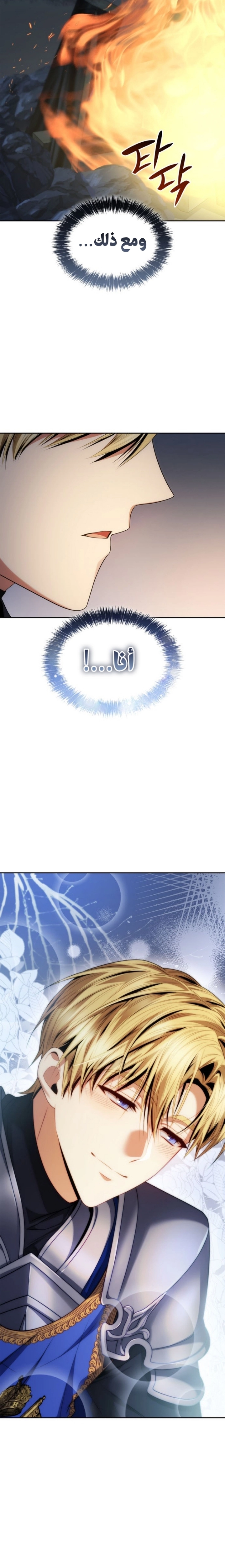 الصفحة 29
