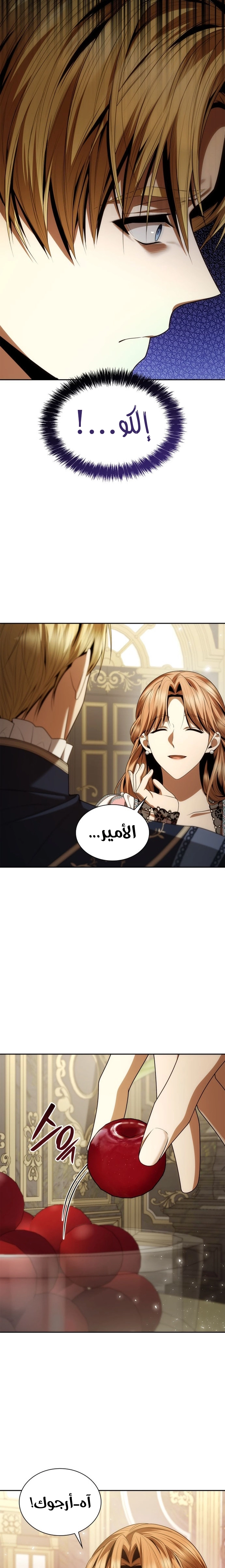 الصفحة 29