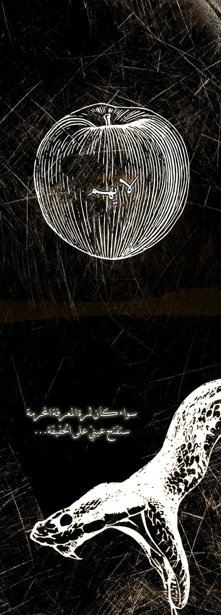 الصفحة 34