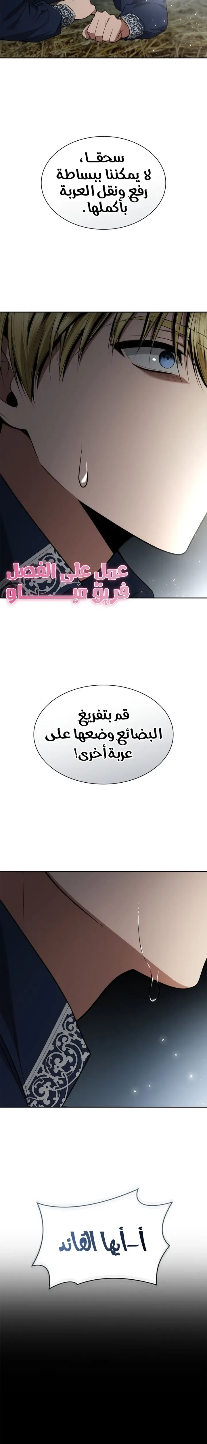 الصفحة 47