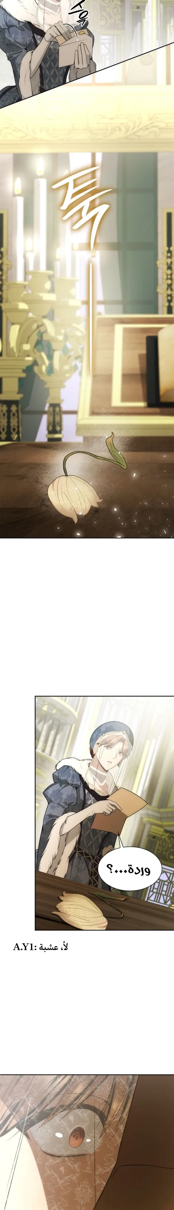 الصفحة 25