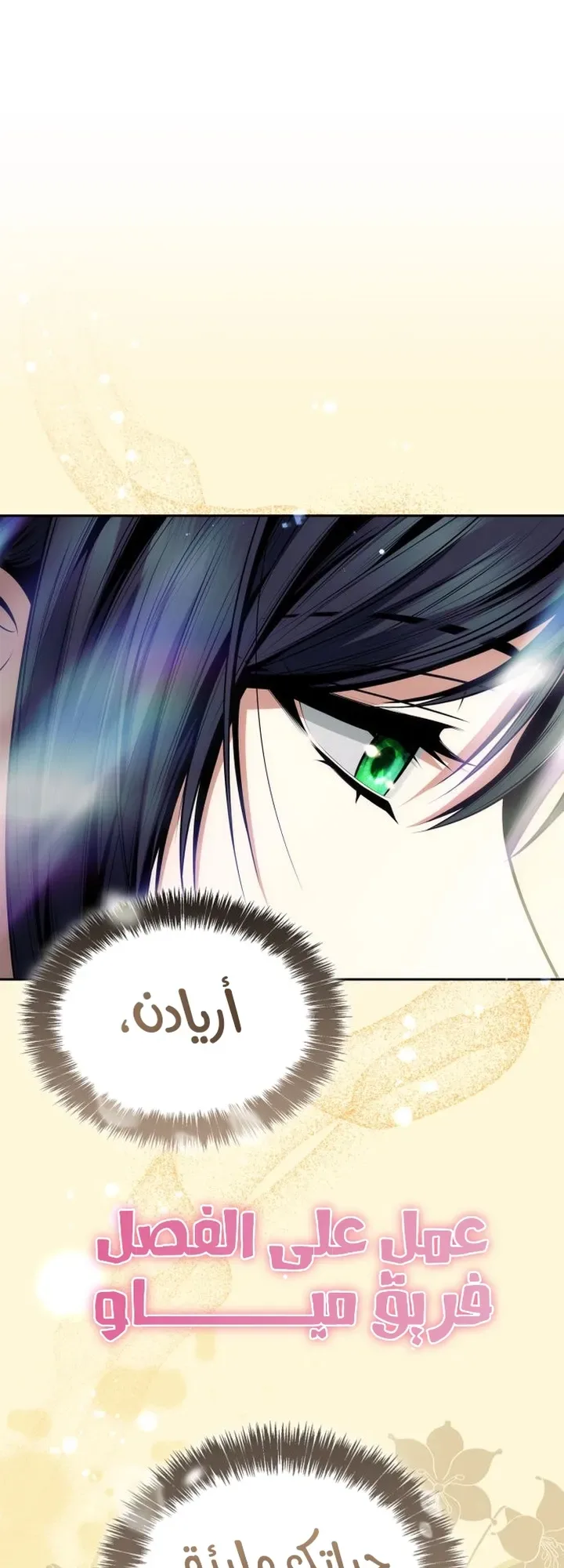 الصفحة 40