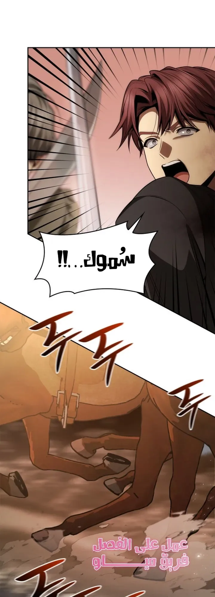 الصفحة 14