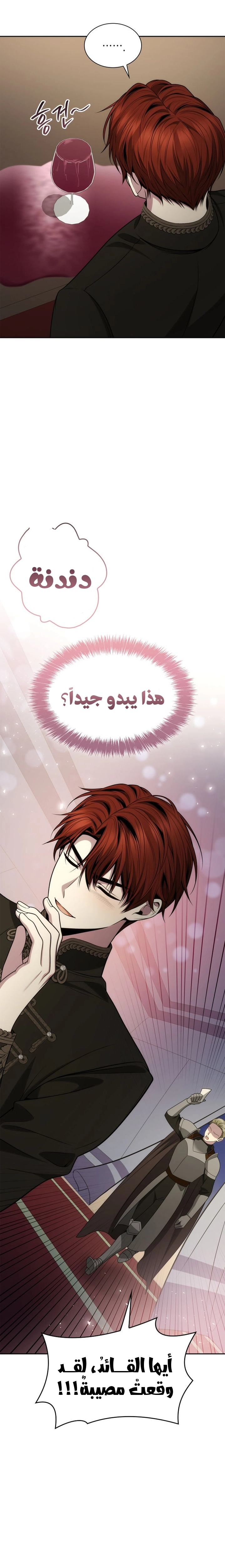 الصفحة 26