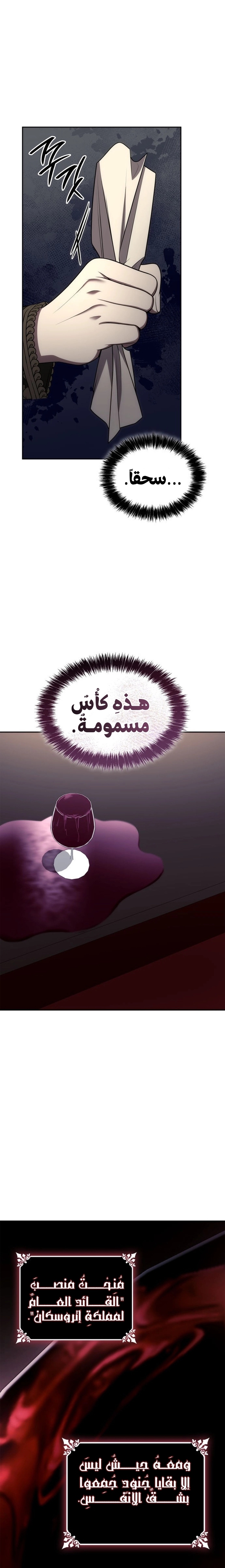 الصفحة 29