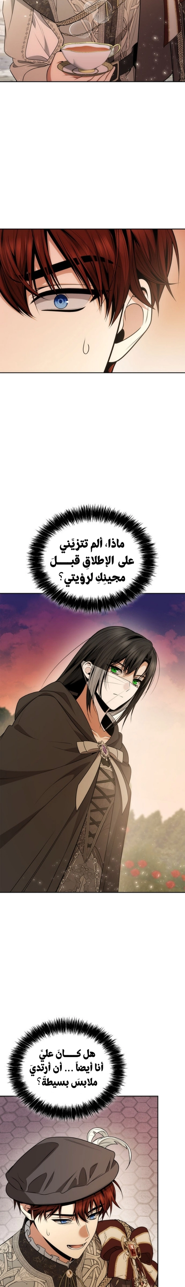 الصفحة 26