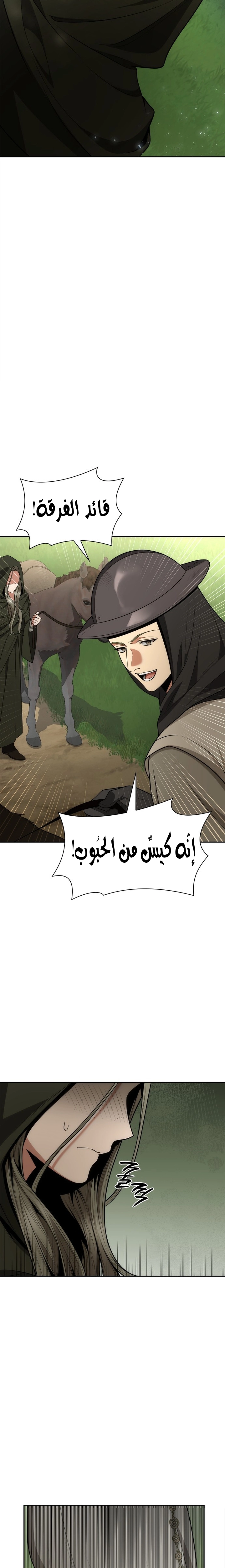 الصفحة 29