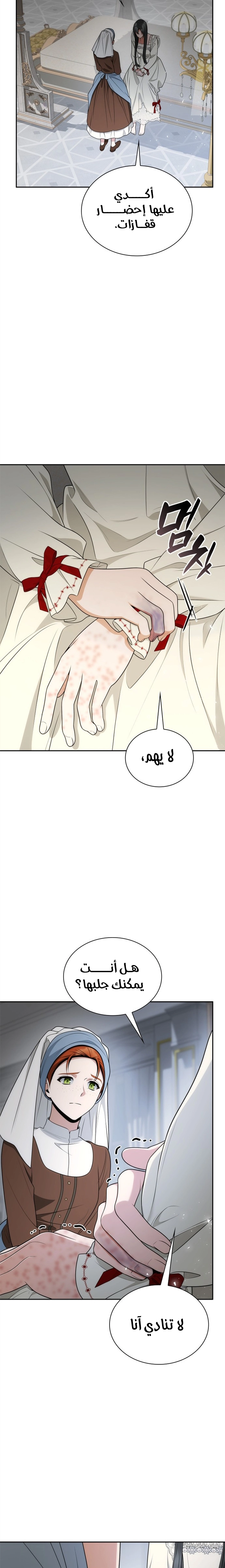 الصفحة 14