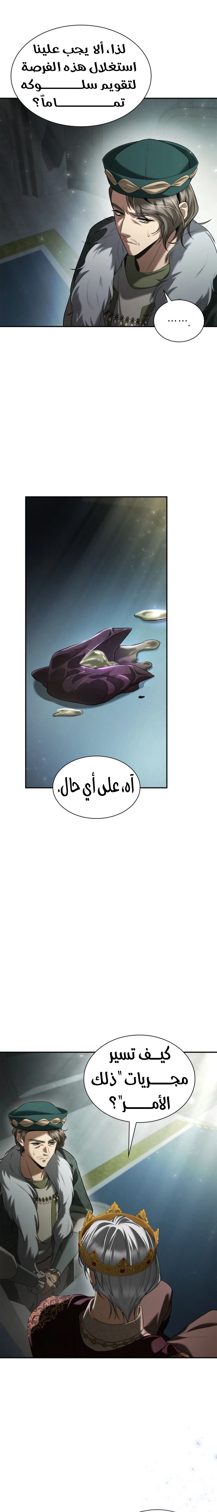 الصفحة 17