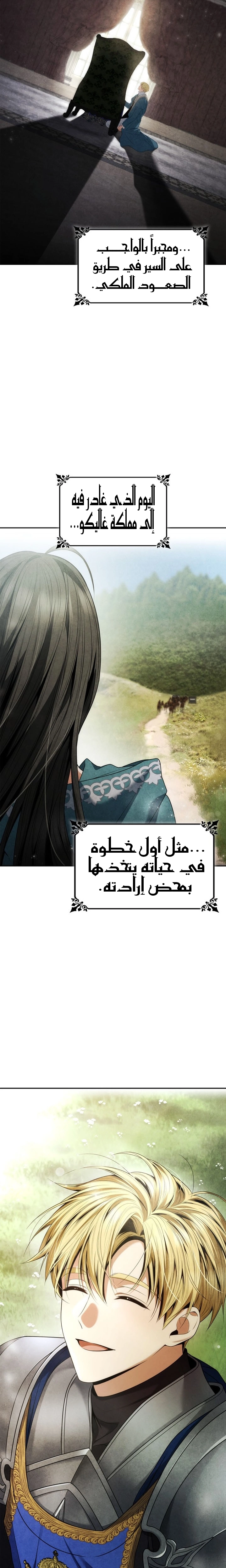الصفحة 17