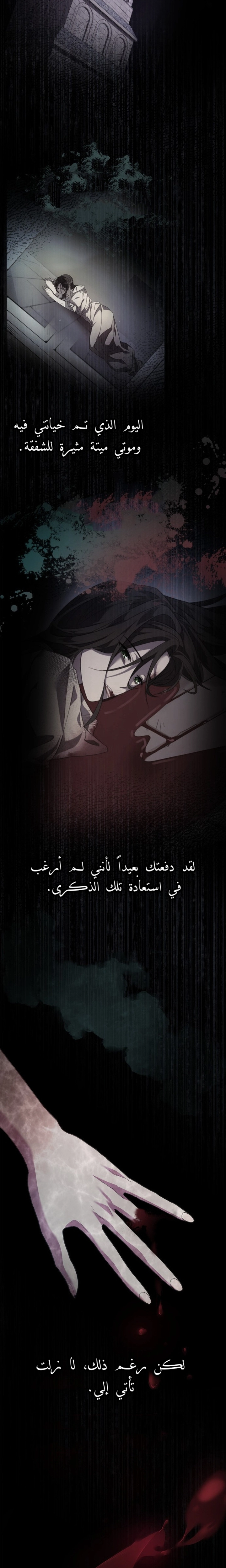 الصفحة 22
