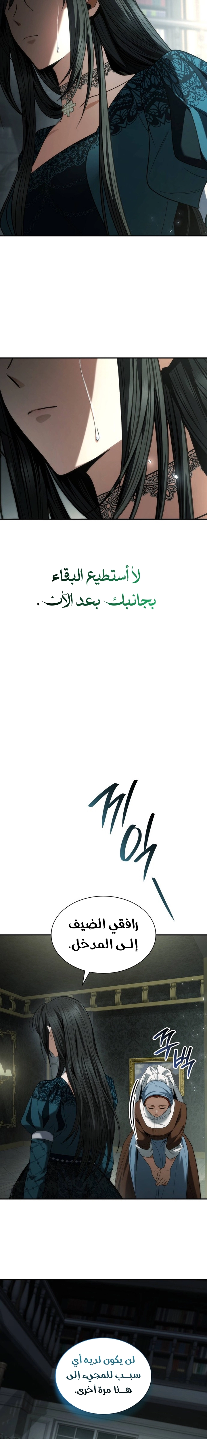 الصفحة 25