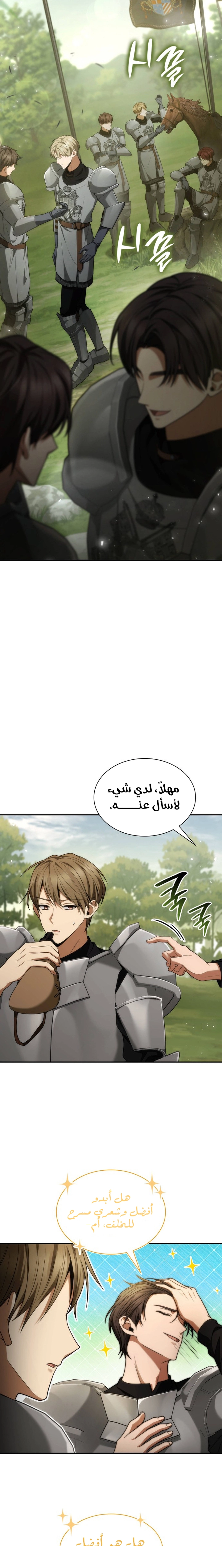 الصفحة 17