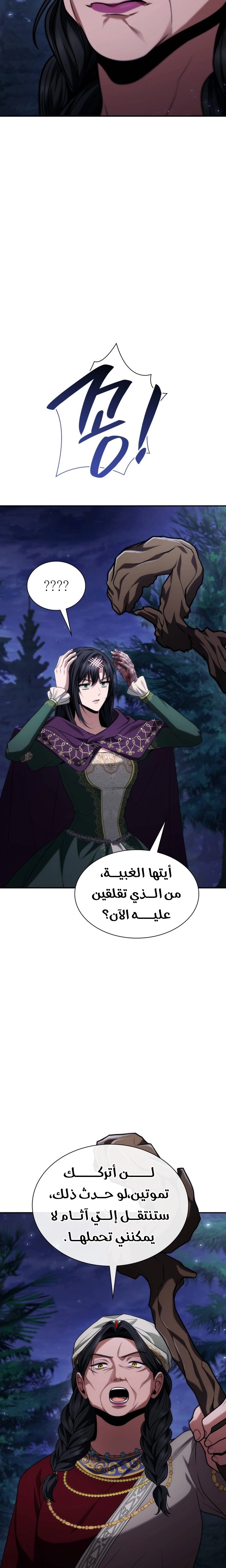 الصفحة 13