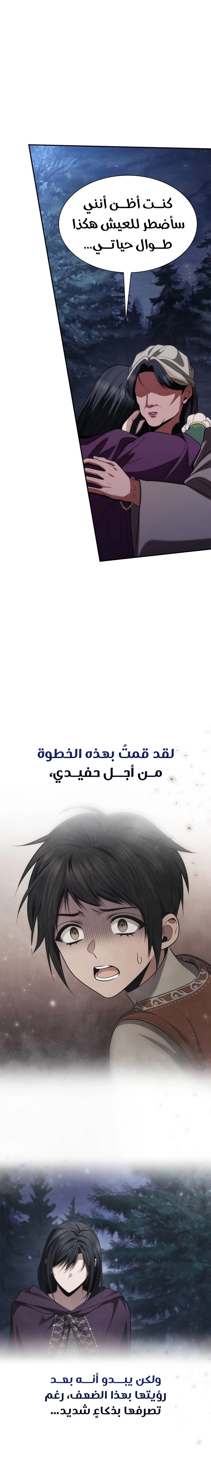 الصفحة 31