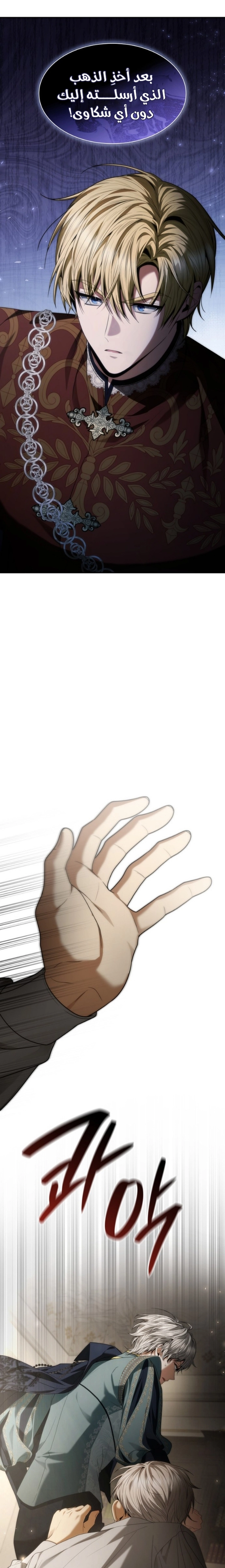 الصفحة 17