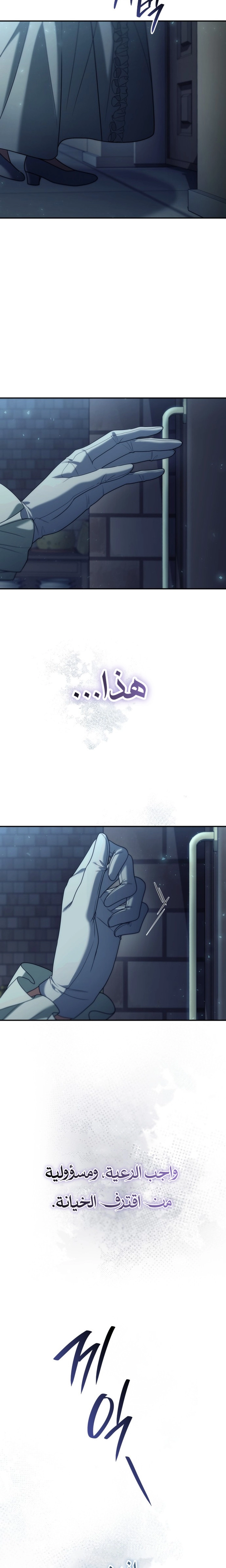 الصفحة 25