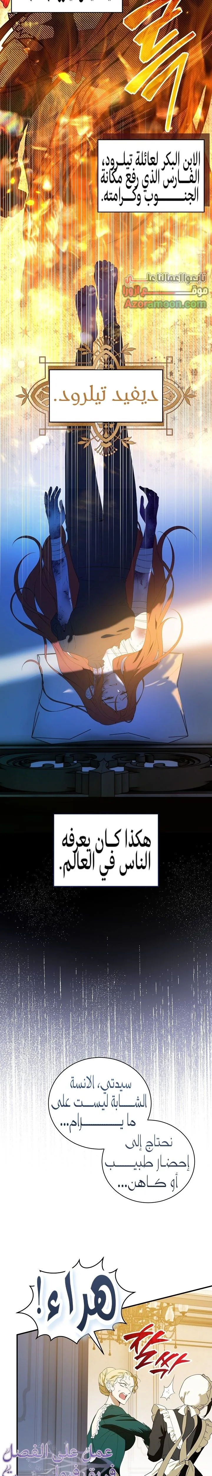 الصفحة 17