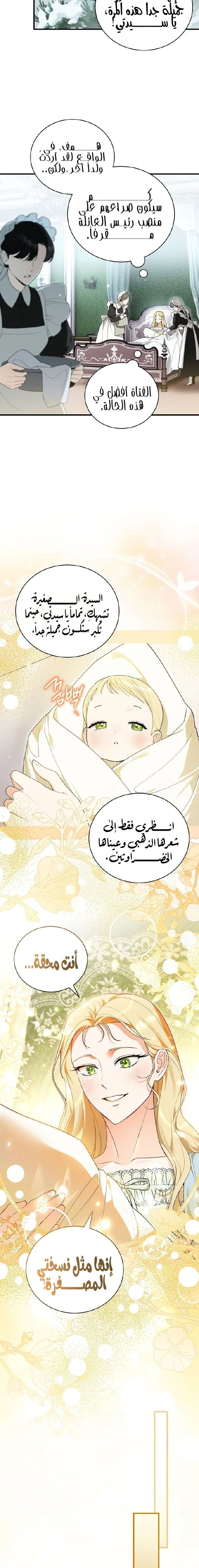 الصفحة 22